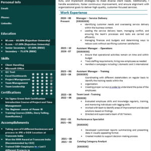 Professional Resume Plan